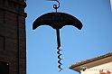 VBS_9617 - La Morra, Barolo, Grinzane Cavour, Pollenzo